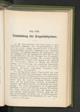 Harnorgane.