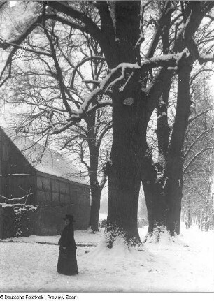 Frau Quarck am Hellergut im Winter