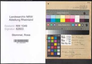 Entnazifizierung Rosa Stommel , geb. 09.08.1906 (Lehrerin)