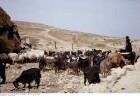 Israel: Wüste Juda