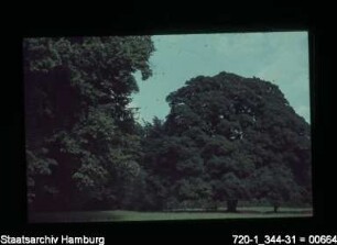 Hirschpark
