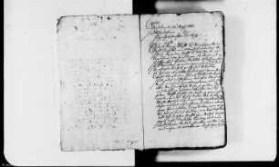 Neuanbauer, insbesondere Ausländer, in den Dörfern des Domkapitels Magdeburg, Bd. 1