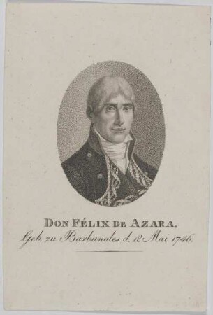 Bildnis des Félix de Azara