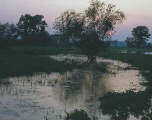 Über die Ufer getretenes Hochwasser der Unstrut