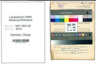 Entnazifizierung Sibylle Sellmann, geb. 19.06.1905 (Angest.)