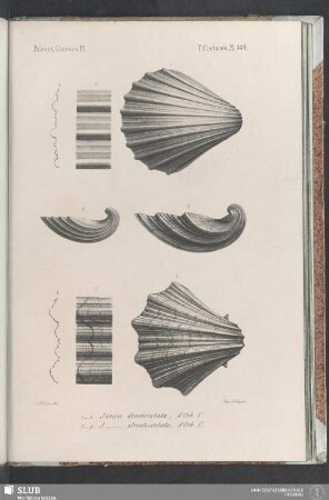 Pl. 449