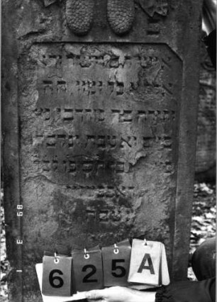 Grabstein 625 (Index: 99752506) Material: Sandstein Zustand: abgeblättert mit Textverlust Maße HxBxT: 128x51x12 cm Beschreibung: Stele, giebelartiger Abschluß mit Verdachung, rechteckiges Schriftfeld mit angeschrägten Ecken Symbolik: zwei Pinienzapfen, Blätter: Grabstein 625A