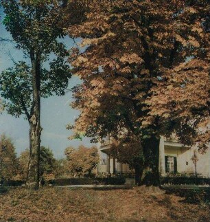 Beim Lusthaus im Prater