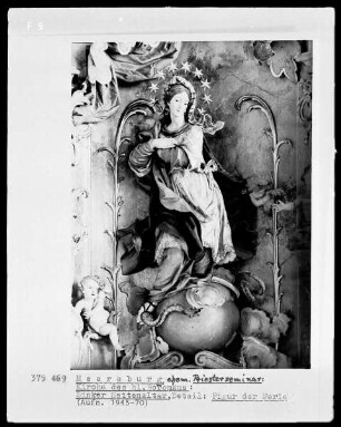 Immaculata