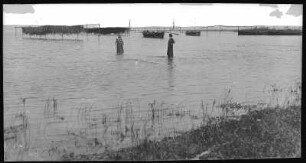Siofok. Blick auf den Plattensee