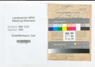 Entnazifizierung Carl Schleiffenbaum , geb. 31.03.1896 (Giessereiingenieur)