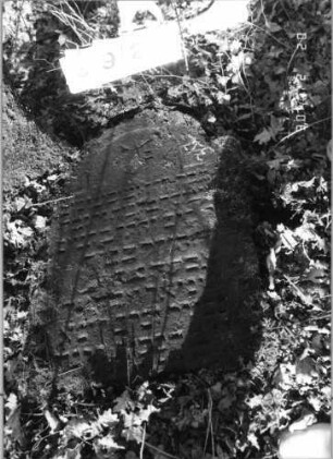 Grabstein 392