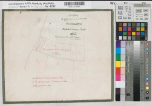 Uelde (Anröchte), Abfindung des Johann Hölter zu Uelde, Reinkarte