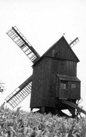 Lebusa. Bockmühle