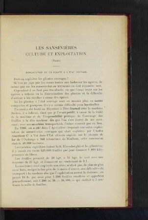 Les Sansevières Culture Et Exploitation.
