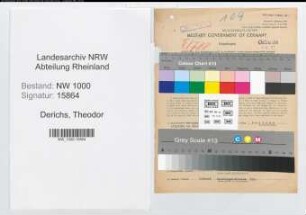 Entnazifizierung Theodor Derichs, geb. 16.04.1899 ()