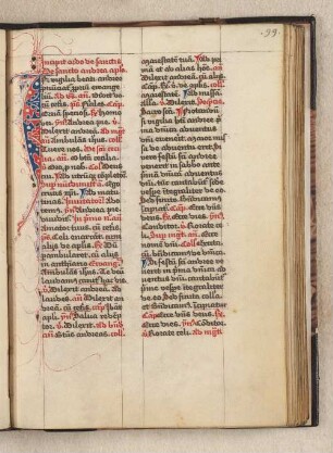 [Liber ordinarius de sanctis]
