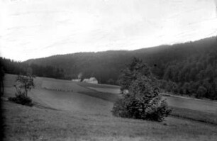 Waldarbeiterhäuser im "Humpel" an der Schmalzgrubner Straße