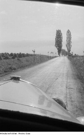Blick durch die Frontscheibe eines Autos auf eine Landstraße