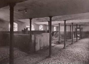 Gastewitz, Hof Carl Spenke, Kuhstall