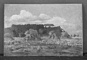 Sommerlandschaft bei Dachau