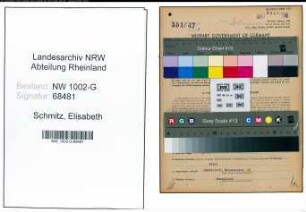 Entnazifizierung Elisabeth Schmitz, geb. 14.06.1890 (Kauffrau)