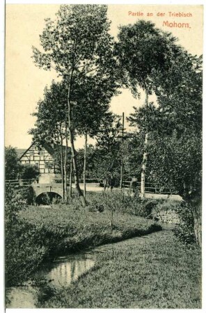 Mohorn. An der Triebisch