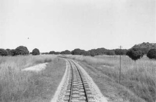 Bahngleis : Blick entlang eines Gleisbettes.