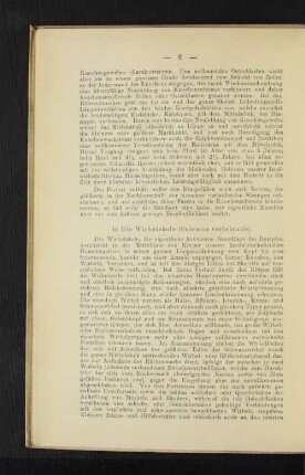 b) Die Wirbelsäule (Columna vertebralis).