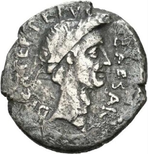 Denar des P. Sepullius Macer mit Darstellung der Venus
