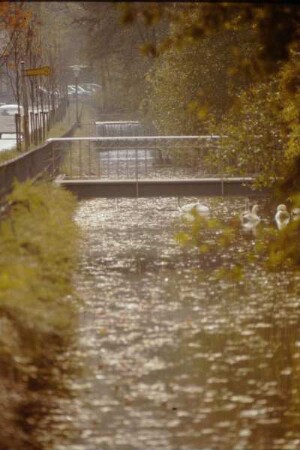 Allee, Detmold; farbig