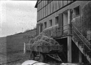 Stallungen der VE Lehr- und Versuchswirtschaft Jena-Zwätzen