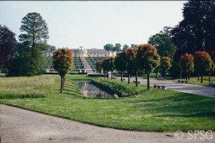 Potsdam, Park Sanssouci, Kastanien an den Stichgräben.
