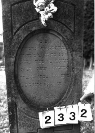 Grabstein 2332 (Index: 100097495) Maße HxBxT: 150x49x21 cm Symbolik: Rosenzweig: Grabstein 2332 (Detailaufnahme 1)