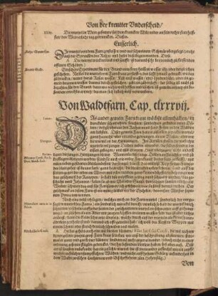Von Waldtfarn, Cap. CLXXXVII