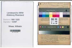 Entnazifizierung Wilhelm Wiese , geb. 30.11.1904 (Kaufmaennischer Angestellter)