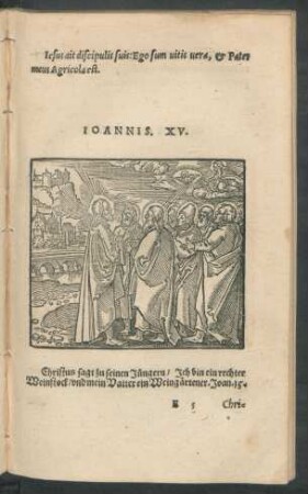 Ioannis. XV.
