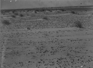 Strand : Blick über den Strand auf kleine Dünen.