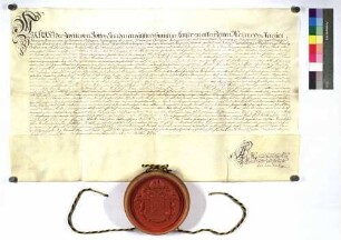 Lehenbrief Kaiser Josephs II. für die Reichsstadt Ulm über einen Hof zu Niederhausen bei Pfaffenhofen.
