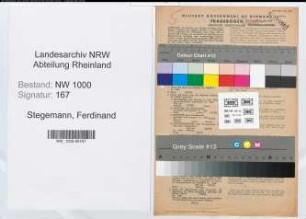 Entnazifizierung Ferdinand Stegemann, geb. 13.03.1910 (Techn.Angest.)
