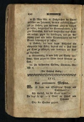 ¬Das¬ zertrümmerte Meßina