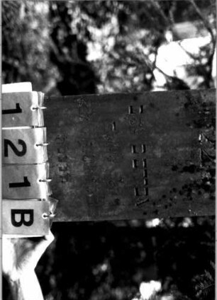 Grabstein 121 (Index: 100109397) Material: Sandstein oder Marmor (?), Sockel Kalkstein, eingelegte Bleibuchstaben Zustand: Buchstaben teilweise herausgebrochen Maße HxBxT: 147x40x24 cm Beschreibung: Obelisk, getreppter Sockel, unterer Sockelteil rustica Steinmetz: Beerli, Mammern: Grabstein 121B