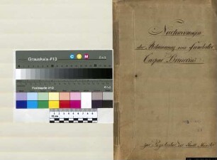 Nachweise der Abstammung vom Fundator Caspar Brinccius