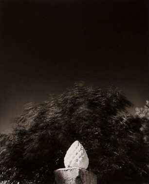 Artischocke, Sardinien 1978