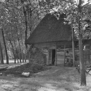 Strohgedecktes Blockhaus auf der Willischza, ein Höhenzug in Burg. : Ze słomu kryty kładźity statok na hórčinje Wilišća w Bórkowach.