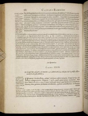 Caput XXIII. - Caput XXXVII.