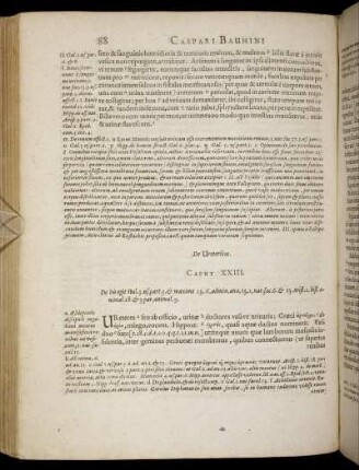 Caput XXIII. - Caput XXXVII.