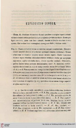 Explicatio iconum