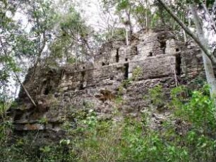 Olvidado, Structure 1 (OLV: Str. 1)