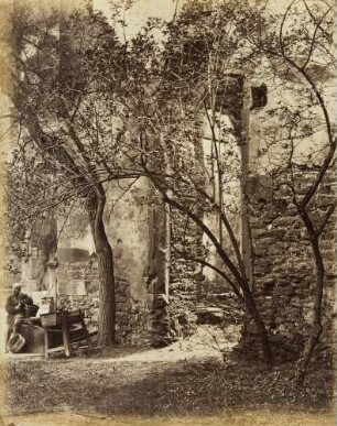 Studien vom Heidelberger Schloss und anderen Ruinen: Gemäuer mit Holunder und Trauerweiden